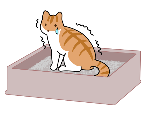 下痢が治らない猫がトイレで震えているイラスト